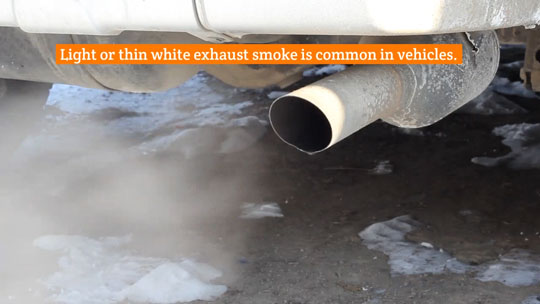 Exhaust Burning Oil Video Image